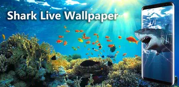 3D Shark in the Live Wallpaper