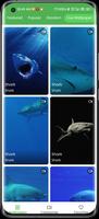 3D Shark in the Live Wallpaper bài đăng