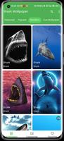 3D Shark in the Live Wallpaper ảnh chụp màn hình 2