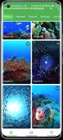3D Underwater World Wallpaper स्क्रीनशॉट 1
