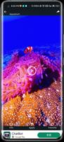 3D Underwater World Wallpaper ảnh chụp màn hình 2