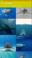 鯊魚壁紙HD 截圖 1