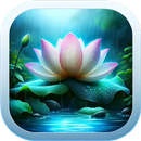 雨天壁纸：放鬆 APK