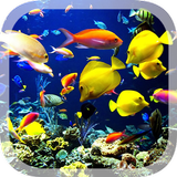 3D Aquarium Live Hintergrund