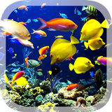 3D Aquarium Live Hintergrund