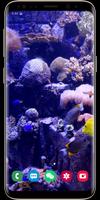 3D Aquarium Live Wallpaper Affiche