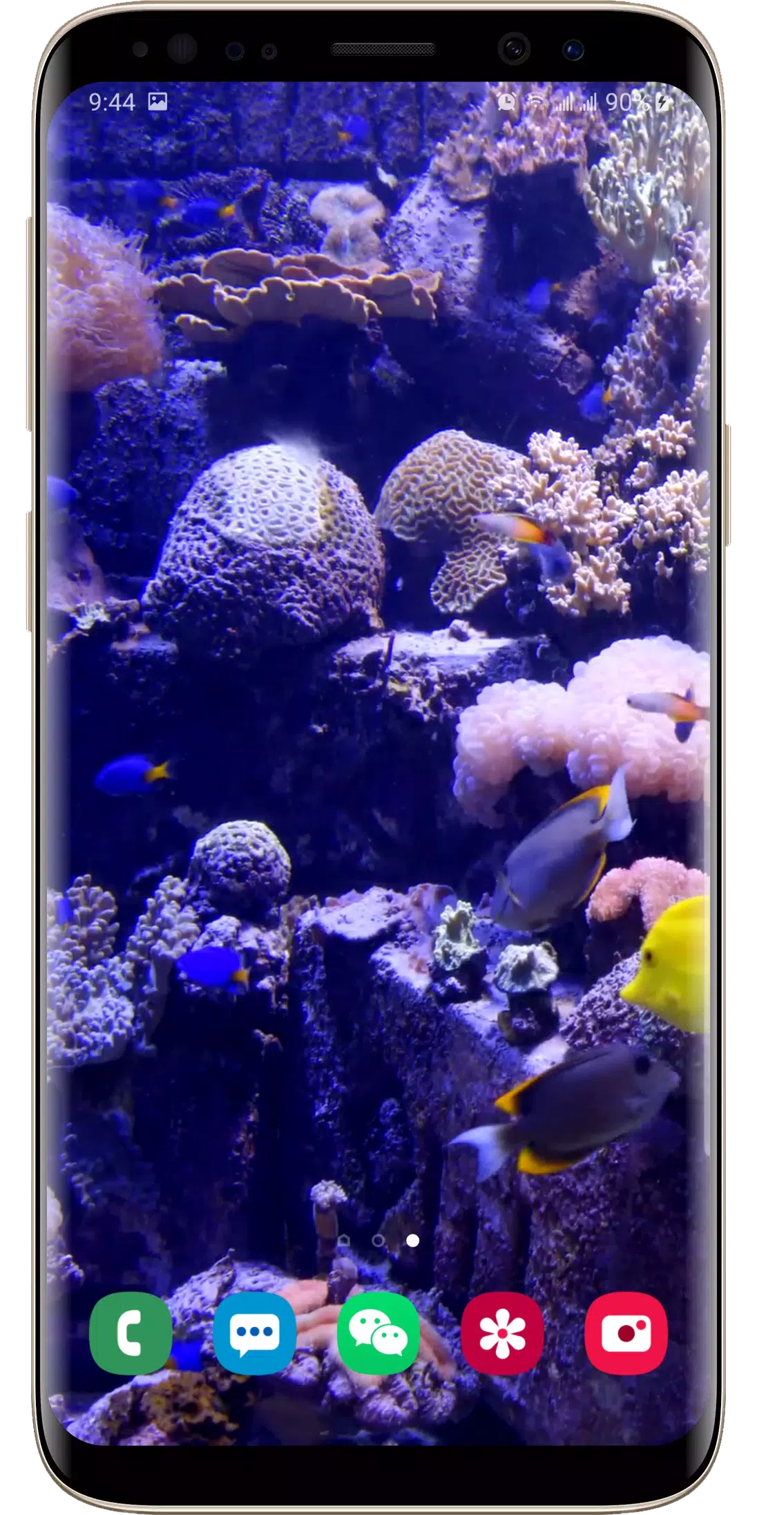 3d Real Aquarium Live Wallpaper For Android Apk Download