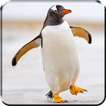 Penguins 3D Vidéo Fond Animé