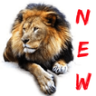 Free Lion Images, Lion Wallpapers