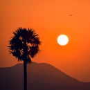 HD Wallpapers APK