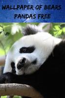 Pandas Bears Free Images, Fonds d'écran HD capture d'écran 1