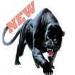 Black Panthers Free Images, Wallpaper