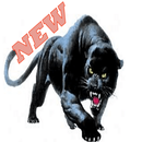 Black Panthers Free Images, Wallpaper APK