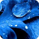 Macro HD Wallpaper APK