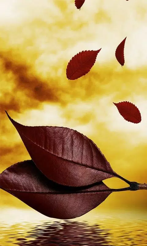 Tải xuống APK Cool Wallpaper Mobile Background cho Android Tải xuống APK Cool Wallpaper Mobile Background cho Android