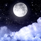 Moonlight HD Wallpapers-Moon W