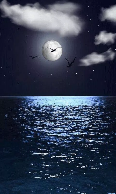 Moonlight HD Wallpapers-Moon W APK for Android Download Moonlight HD Wallpapers-Moon W APK for Android Download