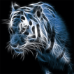 Neon Animal HD Wallpaper Background