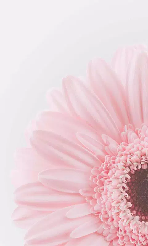 Pastel Flower Theme Wallpaper HD Background APK for Android Download Pastel Flower Theme Wallpaper HD Background APK for Android Download