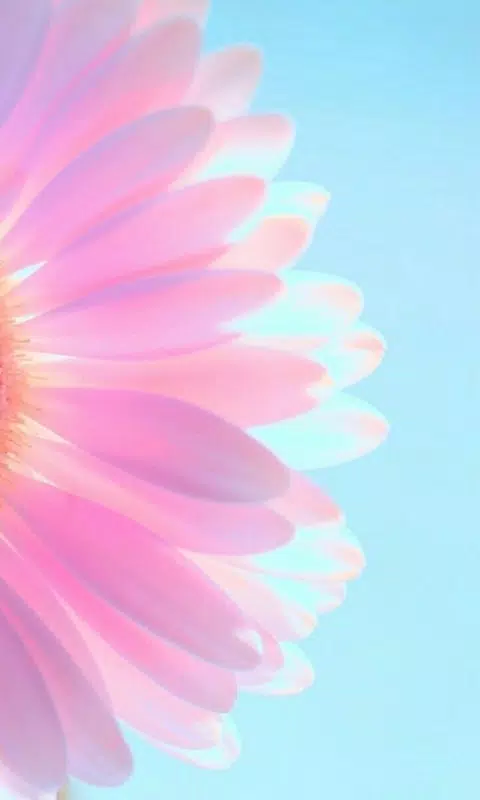 Pastel Flower Theme Wallpaper HD Background APK for Android Download Pastel Flower Theme Wallpaper HD Background APK for Android Download