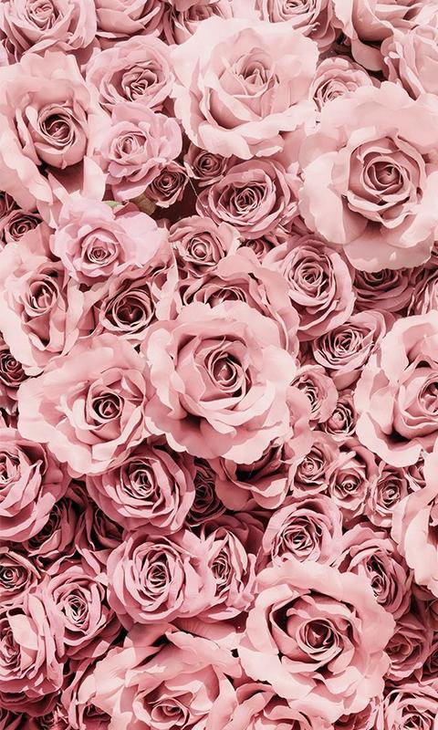 Tải xuống APK Pink Rose Gold Wallpaper Mobile Background cho Android