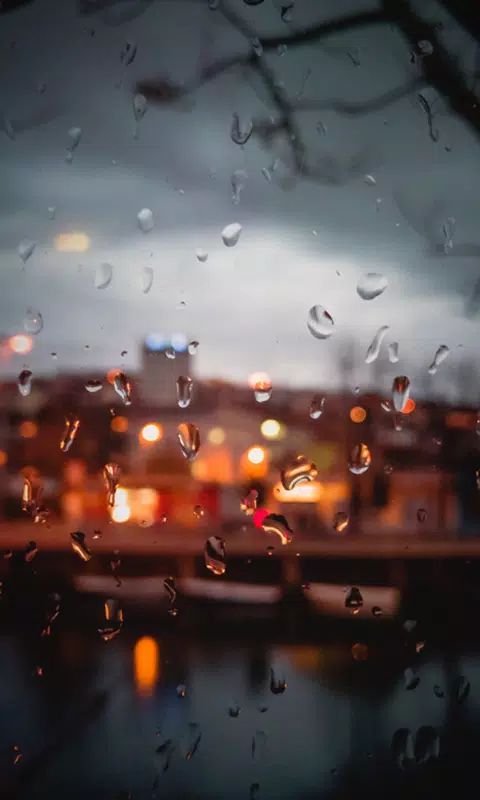 Rain Drops HD Wallpaper Mobile Background APK for Android Download Rain Drops HD Wallpaper Mobile Background APK for Android Download