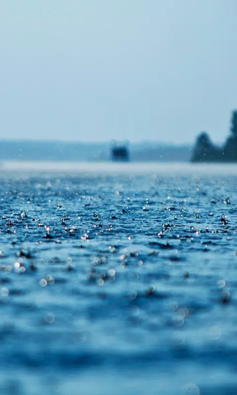 Rain Drops HD Wallpaper Mobile Background APK for Android Download Rain Drops HD Wallpaper Mobile Background APK for Android Download