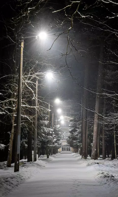 Snow Night HD Wallpaper Mobile Background APK pour Android Télécharger Snow Night HD Wallpaper Mobile Background APK pour Android Télécharger
