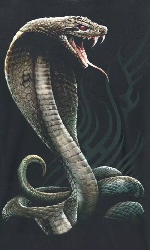 cool snake wallpapers