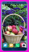 Apple Fruit HD Wallpaper Cartaz