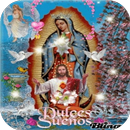 Virgen De Guadalupe Dulce Sueños Fondo Animado APK