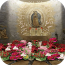 Virgen De Guadalupe En La Basilica Fondo Animado APK