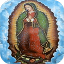 Virgen De Guadalupe Lluvia Fondo Animado APK