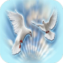 Espiritu Santo Gif APK