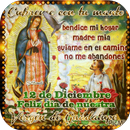 Feliz Dia Nuestra Virgen De Guadalupe Gif APK