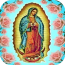 Fondo Animado Virgen De Guadalupe APK