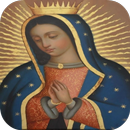 Fondo De Pantalla En Vivo Virgen De Guadalupe APK