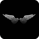 Black HD Wallpaper APK