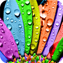 Colorful HD Wallpaper APK