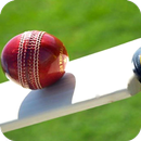 Cricket Bat Wallpaper Best 4K APK