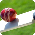 ikon Cricket Bat Wallpaper Best 4K