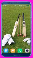 Cricket Bat Wallpaper Best 4K poster