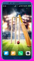 Cricket Bat Wallpaper Best 4K screenshot 1