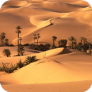 Desert HD Wallpaper APK