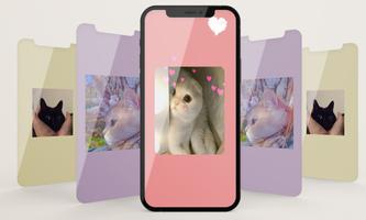 Cute Cat Wallpaper HD poster