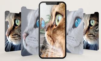 Cute Cat Wallpaper HD screenshot 1