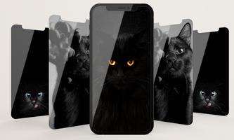Cute Cat Wallpaper HD screenshot 3