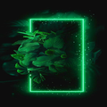 Green Aesthetic Wallpaper