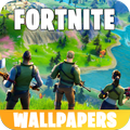 Funny HD Wallpaper for Battle Royale Games