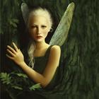 Fairy Wallpapers ไอคอน